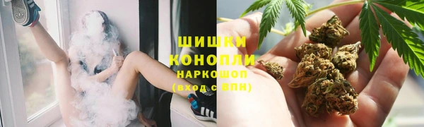ПСИЛОЦИБИНОВЫЕ ГРИБЫ Баксан